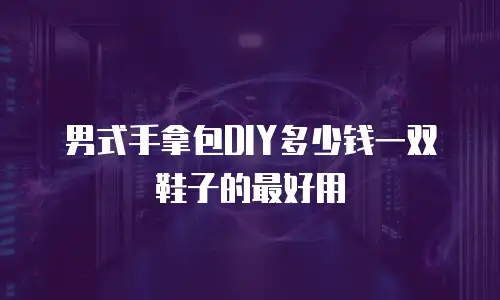男式手拿包DIY多少钱一双鞋子的最好用