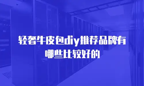 轻奢牛皮包diy推荐品牌有哪些比较好的
