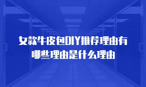 女款牛皮包DIY推荐理由有哪些理由是什么理由
