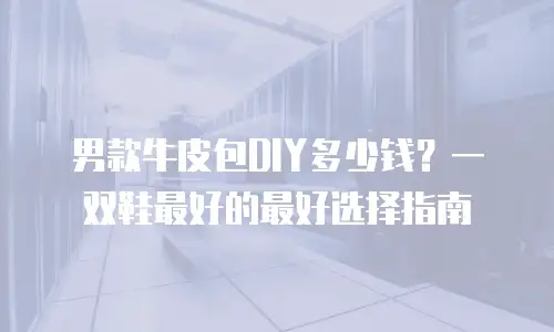 男款牛皮包DIY多少钱？一双鞋最好的最好选择指南
