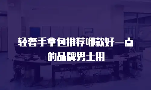 轻奢手拿包推荐哪款好一点的品牌男士用