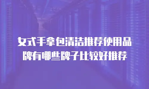 女式手拿包清洁推荐使用品牌有哪些牌子比较好推荐