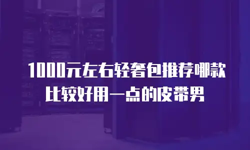 1000元左右轻奢包推荐哪款比较好用一点的皮带男