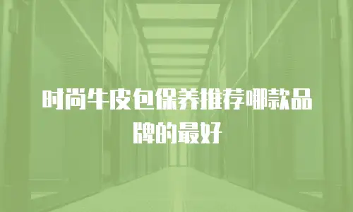 时尚牛皮包保养推荐哪款品牌的最好