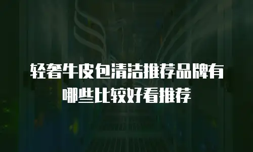 轻奢牛皮包清洁推荐品牌有哪些比较好看推荐