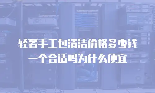 轻奢手工包清洁价格多少钱一个合适吗为什么便宜