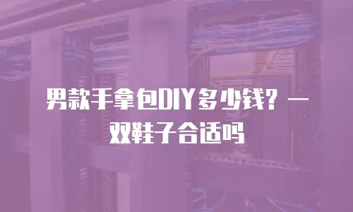 男款手拿包DIY多少钱？一双鞋子合适吗