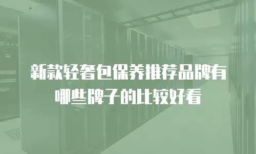 新款轻奢包保养推荐品牌有哪些牌子的比较好看