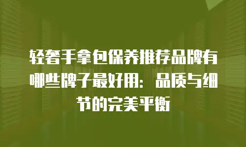 轻奢手拿包保养推荐品牌有哪些牌子最好用：品质与细节的完美平衡