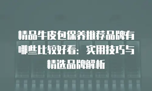 精品牛皮包保养推荐品牌有哪些比较好看：实用技巧与精选品牌解析