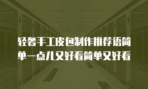 轻奢手工皮包制作推荐语简单一点儿又好看简单又好看