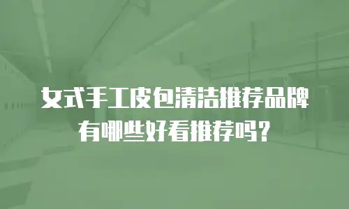 女式手工皮包清洁推荐品牌有哪些好看推荐吗？