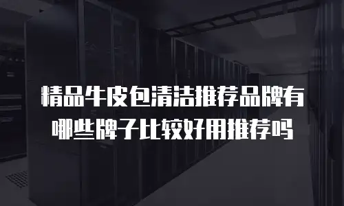 精品牛皮包清洁推荐品牌有哪些牌子比较好用推荐吗