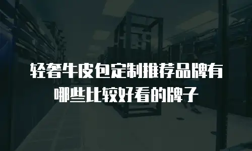 轻奢牛皮包定制推荐品牌有哪些比较好看的牌子