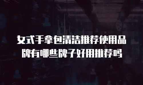 女式手拿包清洁推荐使用品牌有哪些牌子好用推荐吗