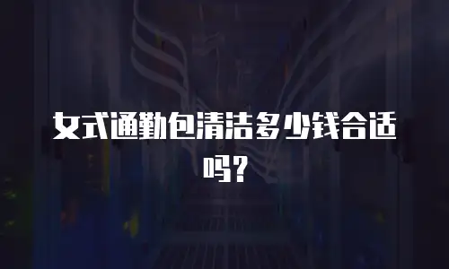 女式通勤包清洁多少钱合适吗？
