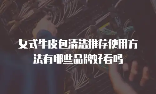 女式牛皮包清洁推荐使用方法有哪些品牌好看吗