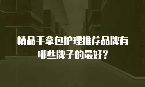 精品手拿包护理推荐品牌有哪些牌子的最好？