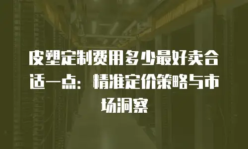 皮塑定制费用多少最好卖合适一点：精准定价策略与市场洞察