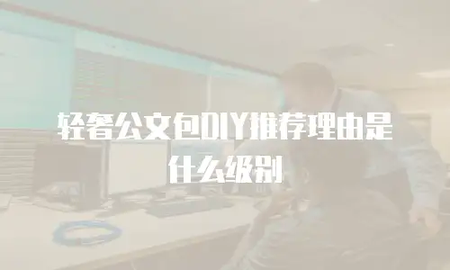 轻奢公文包DIY推荐理由是什么级别