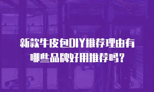 新款牛皮包DIY推荐理由有哪些品牌好用推荐吗？