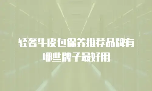 轻奢牛皮包保养推荐品牌有哪些牌子最好用