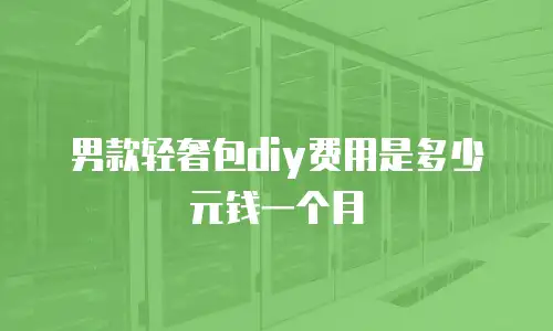 男款轻奢包diy费用是多少元钱一个月
