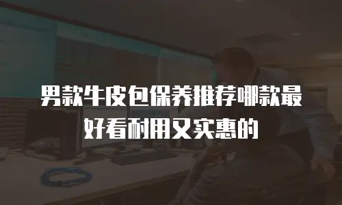 男款牛皮包保养推荐哪款最好看耐用又实惠的