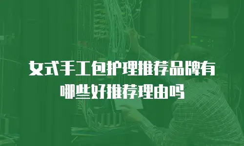 女式手工包护理推荐品牌有哪些好推荐理由吗