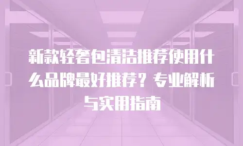 新款轻奢包清洁推荐使用什么品牌最好推荐？专业解析与实用指南