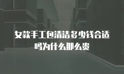 女款手工包清洁多少钱合适吗为什么那么贵