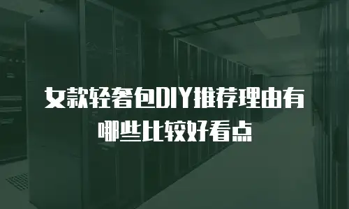女款轻奢包DIY推荐理由有哪些比较好看点