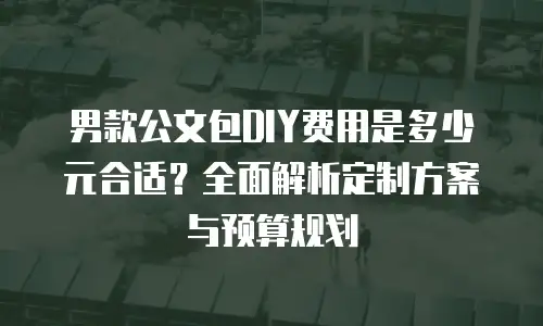 男款公文包DIY费用是多少元合适？全面解析定制方案与预算规划
