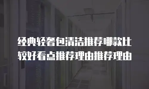 经典轻奢包清洁推荐哪款比较好看点推荐理由推荐理由
