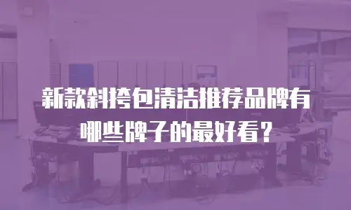新款斜挎包清洁推荐品牌有哪些牌子的最好看？