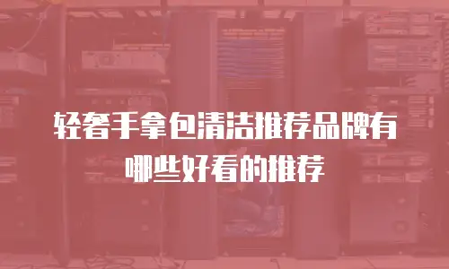 轻奢手拿包清洁推荐品牌有哪些好看的推荐