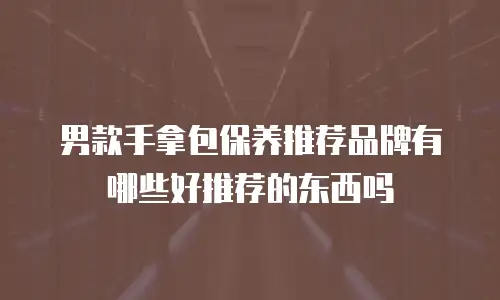 男款手拿包保养推荐品牌有哪些好推荐的东西吗