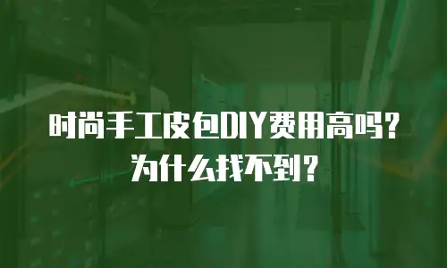 时尚手工皮包DIY费用高吗？为什么找不到？