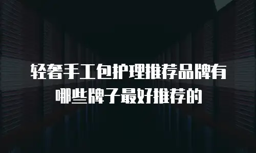 轻奢手工包护理推荐品牌有哪些牌子最好推荐的
