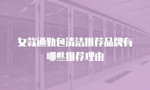 女款通勤包清洁推荐品牌有哪些推荐理由