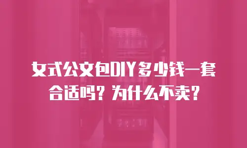 女式公文包DIY多少钱一套合适吗？为什么不卖？