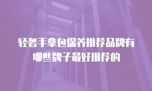 轻奢手拿包保养推荐品牌有哪些牌子最好推荐的