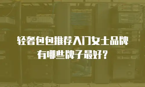 轻奢包包推荐入门女士品牌有哪些牌子最好？