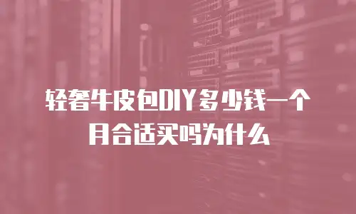 轻奢牛皮包DIY多少钱一个月合适买吗为什么