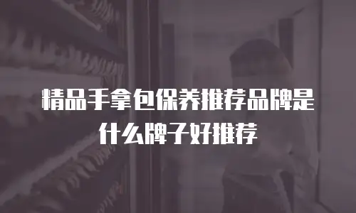 精品手拿包保养推荐品牌是什么牌子好推荐