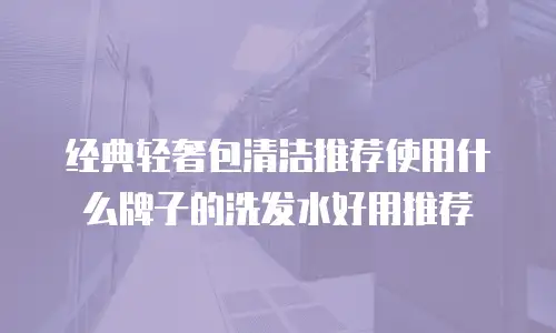 经典轻奢包清洁推荐使用什么牌子的洗发水好用推荐