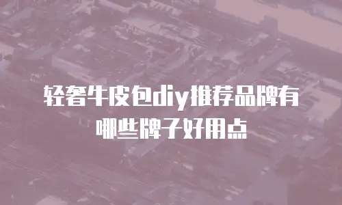 轻奢牛皮包diy推荐品牌有哪些牌子好用点