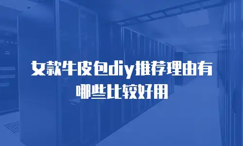 女款牛皮包diy推荐理由有哪些比较好用