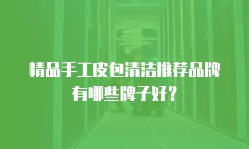 精品手工皮包清洁推荐品牌有哪些牌子好？