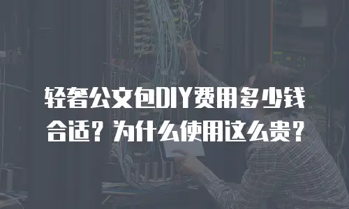 轻奢公文包DIY费用多少钱合适？为什么使用这么贵？